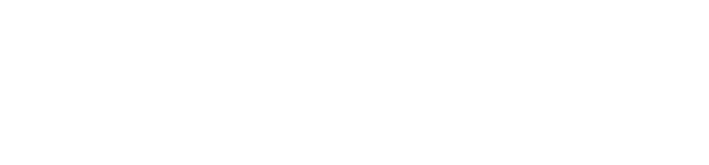 FlashBeing erweitertes weißes Logo
