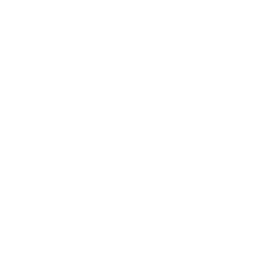 FlashBeing Weißes Logo